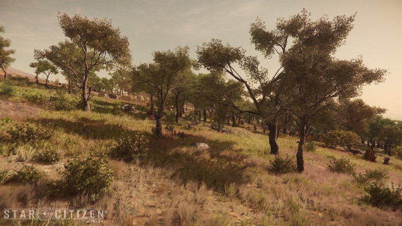 Star Citizen