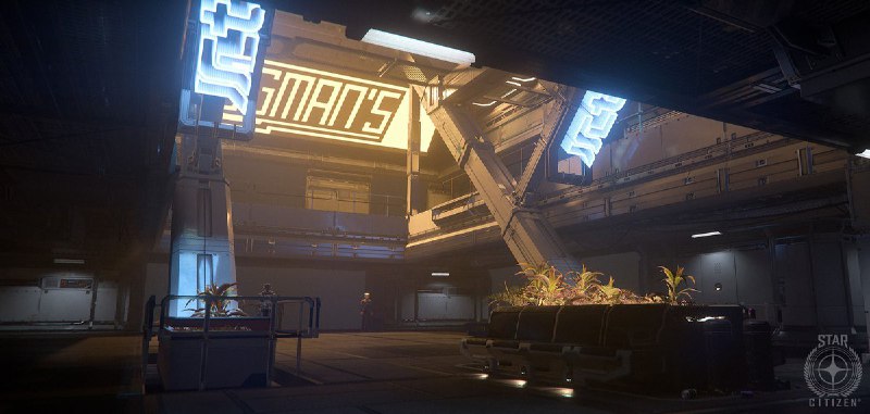 Star Citizen