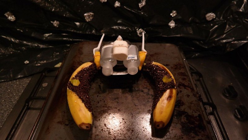 Star Citizen (@RobertsSpaceInd)