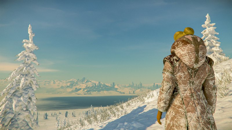 Star Citizen