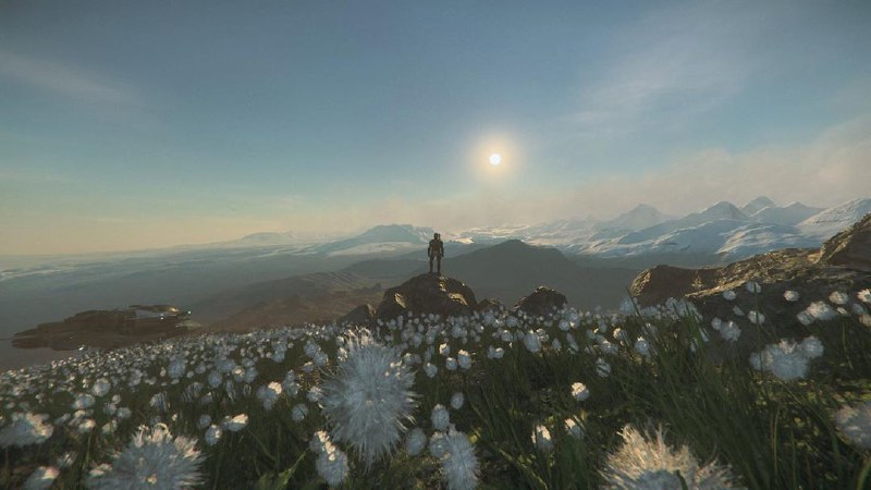 Star Citizen
