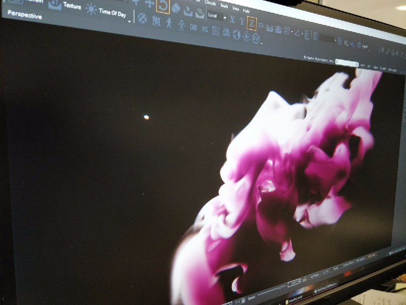 Sandi Gardiner