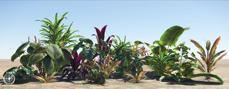 Images from Monthly Studio Report: February 2019Images from Monthly Studio Report: February 2019