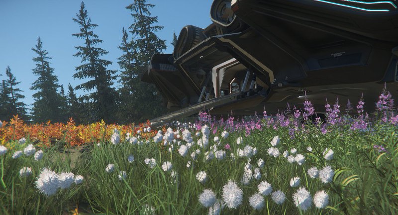 Star Citizen